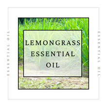 Load image into Gallery viewer, Duo Essential Oils For Pain Travel Sampler
