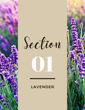 Load image into Gallery viewer, 4 Essential Oils For Chronic Pain Guide